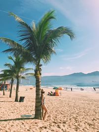 Palm trees on beach against sky