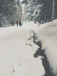 Person skiing on snow covered landscape