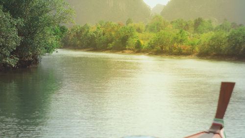 Scenic view of lake in forest