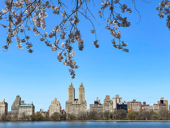 View of buildings against blue sky