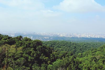 High angle view of trees and plants in city against sky