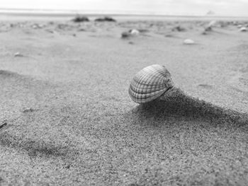 Close-up of ball on sand at beach