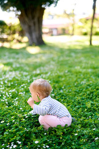 Rear view of a boy