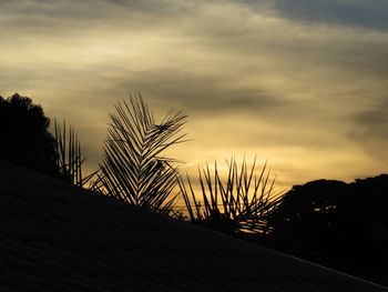 Silhouette trees against sky at sunset