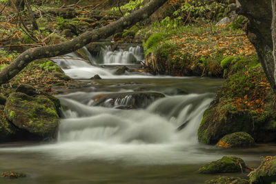 Natural Bavaria