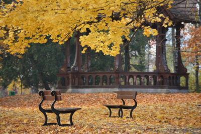 Bench in park during autumn