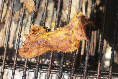 High angle view of meat on barbecue grill