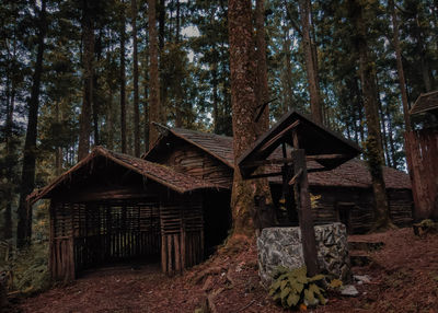 Exterior of cottage amidst trees in forest