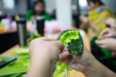 Close-up of hand holding leaf