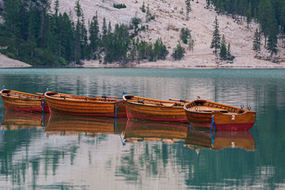 Boats moored in lake against trees