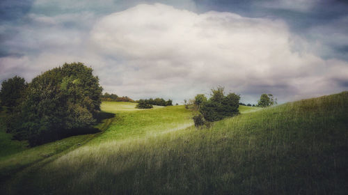 Trees on field against cloudy sky