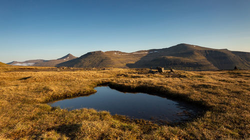 Scenic view of landscape against clear blue sky