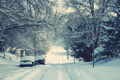 Snow covered landscape