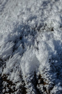 Full frame shot of snow