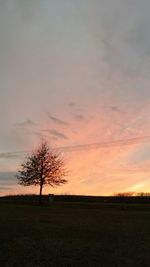 Silhouette of trees on landscape at sunset