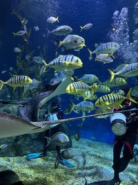 underwater