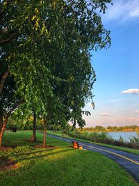 Scenic view of trees on field against sky