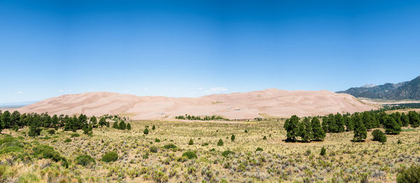 Scenic view of sand dunes landscape against clear blue sky