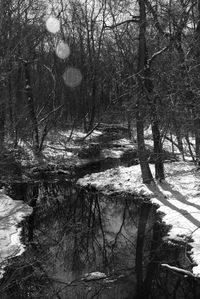 View of bare trees on snow covered landscape