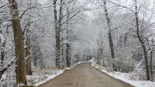 Road amidst trees in forest during winter