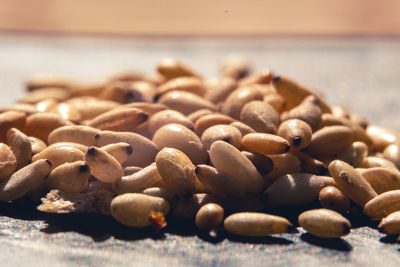 Close-up of shells on table