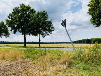 Trees on field against sky