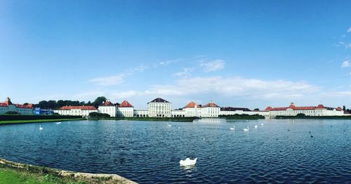 Swan on lake by city against blue sky