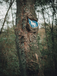 Close-up of sign on tree trunk in forest