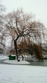 Bare trees on snow covered landscape