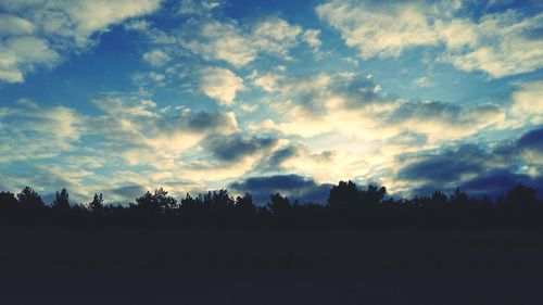 Silhouette trees against sky during sunset