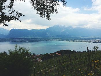 Scenic view of lake against cloudy sky