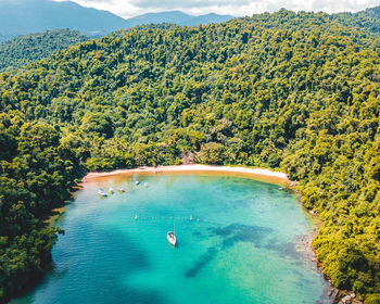 High angle view of plants and sea against trees