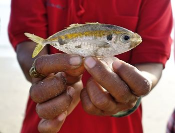 Close-up of hand holding fish