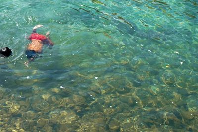 Low section of man swimming in pool