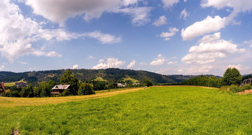 Scenic view of field against sky