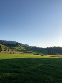 Scenic view of landscape against clear sky