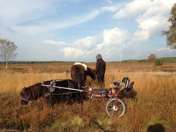 Horse cart on field against sky