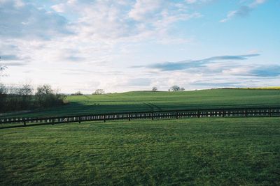 Scenic view of agricultural field against sky
