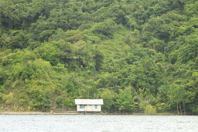 Scenic view of lake amidst trees in forest