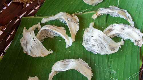 High angle view of leaves on wood