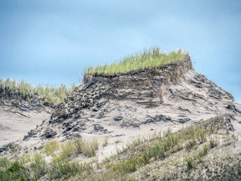 Moving dune wydma czolpinska, slowinski national park, baltic sea, poland