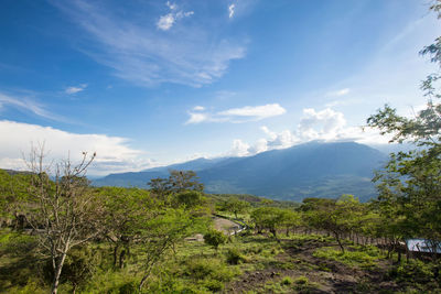 Scenic view of landscape against cloudy sky