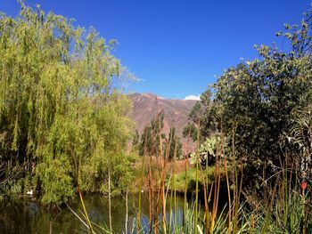 Scenic view of calm lake