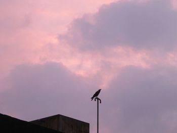 Low angle view of sky during sunset