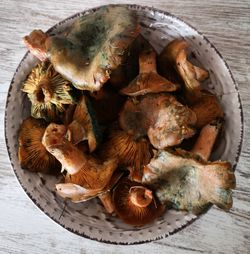 High angle view of mushrooms in basket on table