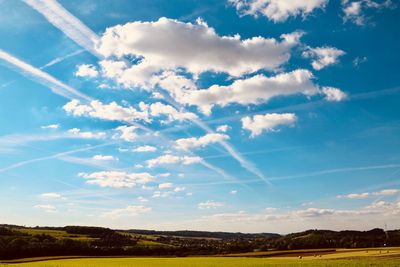 Low angle view of trees on field against sky