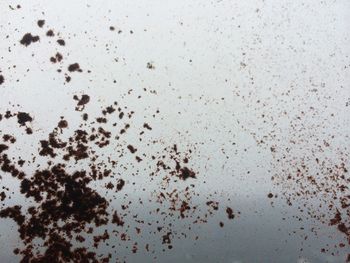 Full frame shot of water