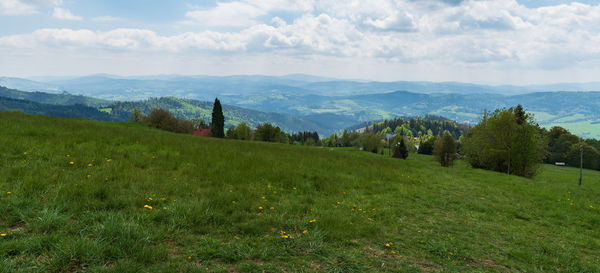 Scenic view of field against sky