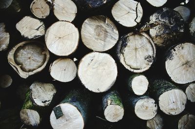 Full frame shot of logs in forest