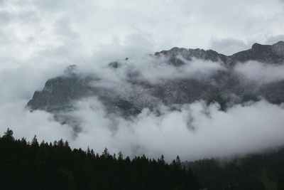 Low angle view of trees and mountains against sky